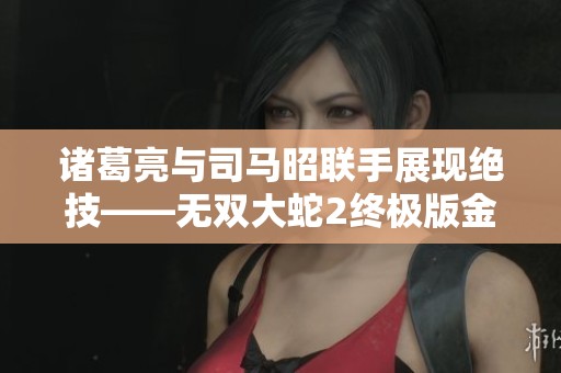 诸葛亮与司马昭联手展现绝技——无双大蛇2终极版金烨攻略全面解析