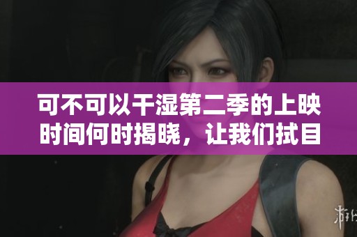 可不可以干湿第二季的上映时间何时揭晓，让我们拭目以待