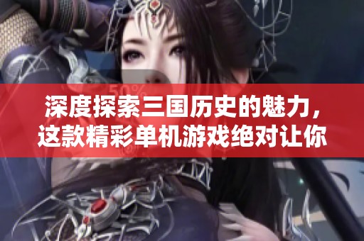 深度探索三国历史的魅力，这款精彩单机游戏绝对让你欲罢不能