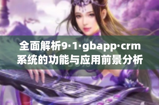 全面解析9·1·gbapp·crm系统的功能与应用前景分析