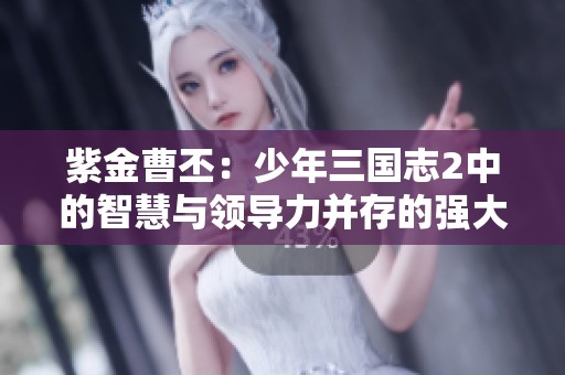 紫金曹丕：少年三国志2中的智慧与领导力并存的强大武将解析