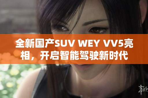 全新国产SUV WEY VV5亮相，开启智能驾驶新时代