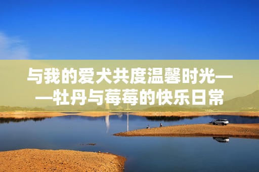 与我的爱犬共度温馨时光——牡丹与莓莓的快乐日常