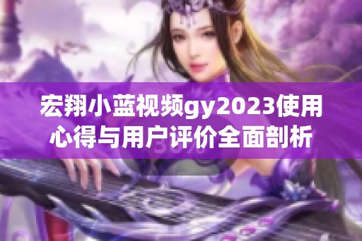 宏翔小蓝视频gy2023使用心得与用户评价全面剖析