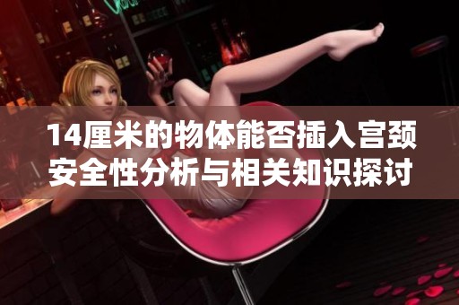 14厘米的物体能否插入宫颈安全性分析与相关知识探讨