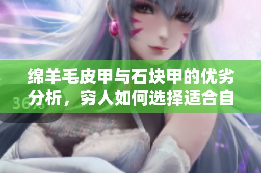 绵羊毛皮甲与石块甲的优劣分析，穷人如何选择适合自己的装备策略