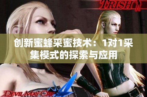 创新蜜蜂采蜜技术：1对1采集模式的探索与应用
