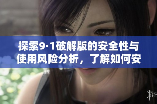 探索9·1破解版的安全性与使用风险分析，了解如何安全下载