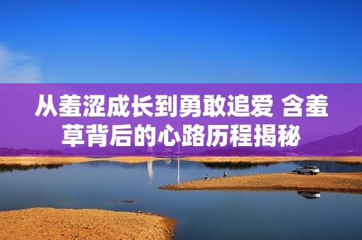 从羞涩成长到勇敢追爱 含羞草背后的心路历程揭秘