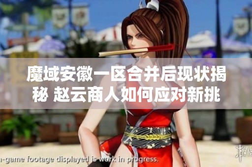 魔域安徽一区合并后现状揭秘 赵云商人如何应对新挑战与机遇