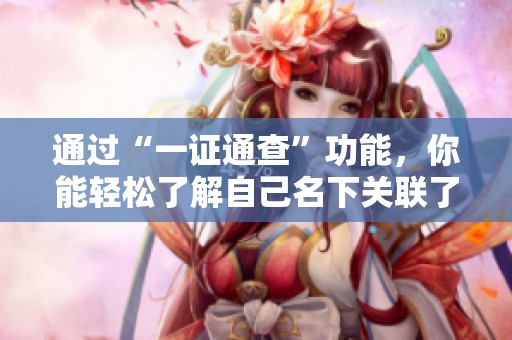 通过“一证通查”功能，你能轻松了解自己名下关联了多少个账号信息