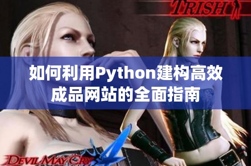 如何利用Python建构高效成品网站的全面指南