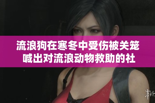 流浪狗在寒冬中受伤被关笼 喊出对流浪动物救助的社会呼声