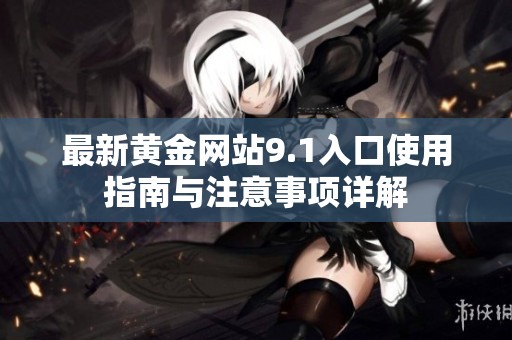 最新黄金网站9.1入口使用指南与注意事项详解