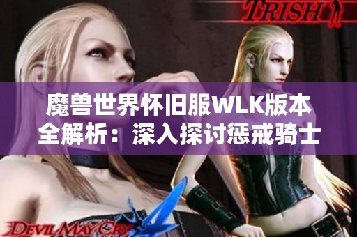 魔兽世界怀旧服WLK版本全解析：深入探讨惩戒骑士的天赋选择与玩法技巧