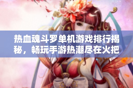 热血魂斗罗单机游戏排行揭秘，畅玩手游热潮尽在火把云手游网！