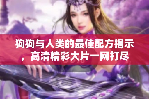 狗狗与人类的最佳配方揭示，高清精彩大片一网打尽
