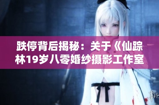 跌停背后揭秘：关于《仙踪林19岁八零婚纱摄影工作室》的动作与反转爽剧新探讨