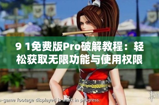 9 1免费版Pro破解教程：轻松获取无限功能与使用权限