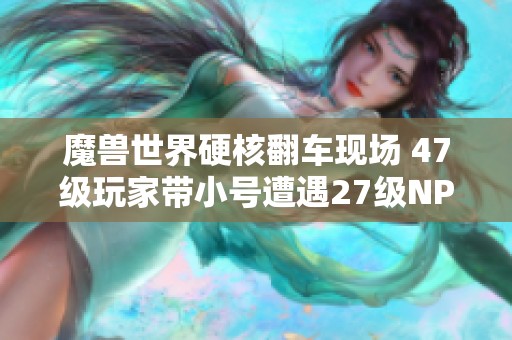 魔兽世界硬核翻车现场 47级玩家带小号遭遇27级NPC痛击回顾