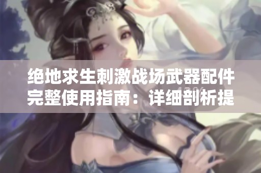 绝地求生刺激战场武器配件完整使用指南：详细剖析提升战斗力的配件效果与组合技巧
