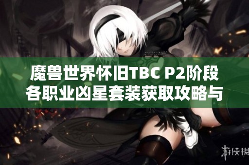 魔兽世界怀旧TBC P2阶段各职业凶星套装获取攻略与深度分析