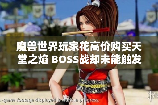 魔兽世界玩家花高价购买天堂之焰 BOSS战却未能触发面临重大损失