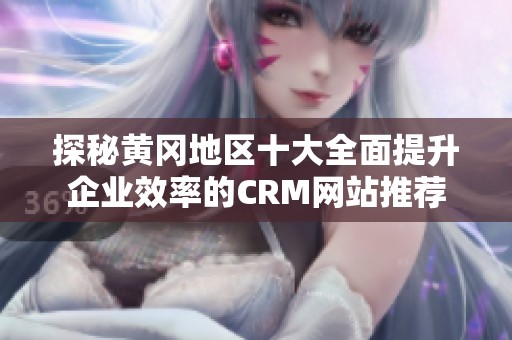 探秘黄冈地区十大全面提升企业效率的CRM网站推荐