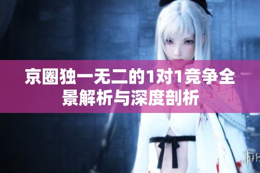 京圈独一无二的1对1竞争全景解析与深度剖析