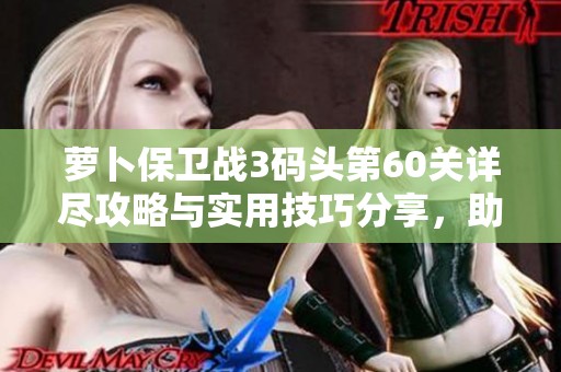 萝卜保卫战3码头第60关详尽攻略与实用技巧分享，助力轻松通关攻略