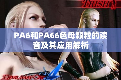 PA6和PA66色母颗粒的读音及其应用解析