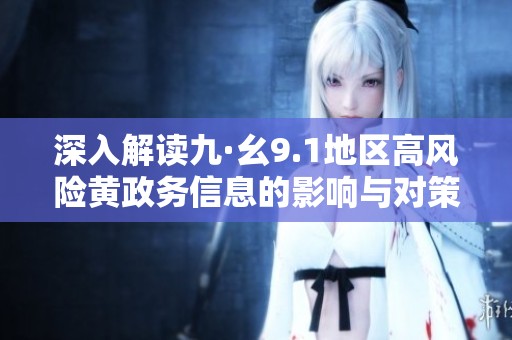深入解读九·幺9.1地区高风险黄政务信息的影响与对策分析