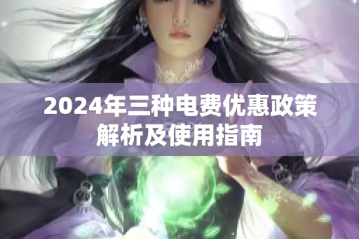 2024年三种电费优惠政策解析及使用指南