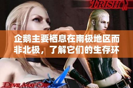 企鹅主要栖息在南极地区而非北极，了解它们的生存环境
