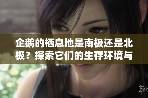 企鹅的栖息地是南极还是北极？探索它们的生存环境与分布情况