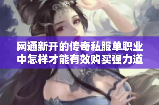 网通新开的传奇私服单职业中怎样才能有效购买强力道具指导与技巧解析