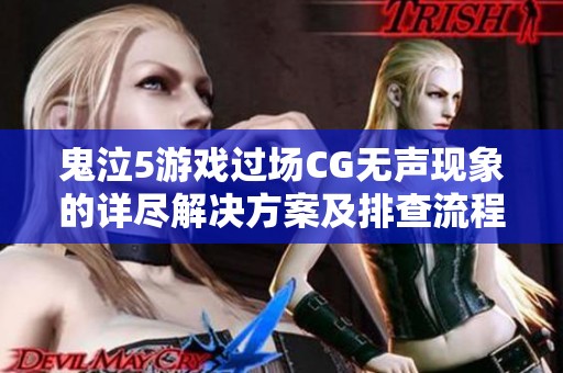 鬼泣5游戏过场CG无声现象的详尽解决方案及排查流程解析