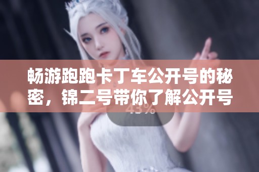 畅游跑跑卡丁车公开号的秘密，锦二号带你了解公开号的获取与使用技巧