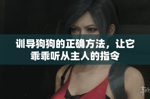 训导狗狗的正确方法，让它乖乖听从主人的指令