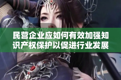民营企业应如何有效加强知识产权保护以促进行业发展与创新探讨