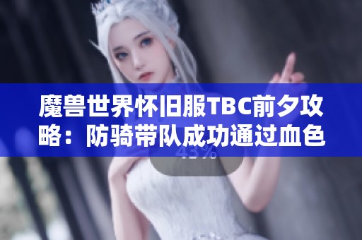 魔兽世界怀旧服TBC前夕攻略：防骑带队成功通过血色修道院的技巧与策略