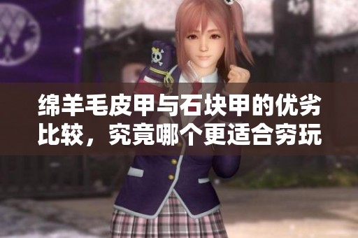 绵羊毛皮甲与石块甲的优劣比较，究竟哪个更适合穷玩家的玩儿法？
