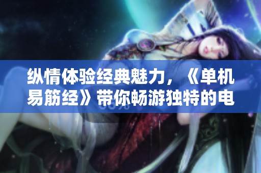 纵情体验经典魅力，《单机易筋经》带你畅游独特的电脑游戏世界