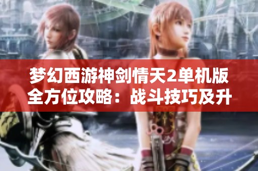 梦幻西游神剑情天2单机版全方位攻略：战斗技巧及升级秘籍完整指南