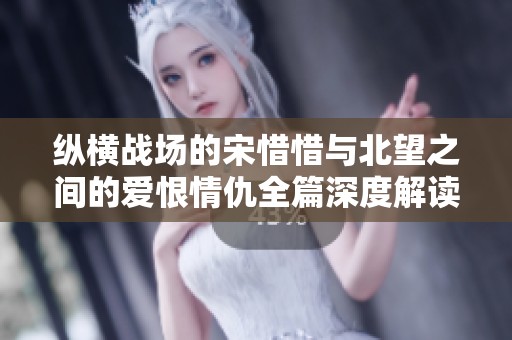 纵横战场的宋惜惜与北望之间的爱恨情仇全篇深度解读