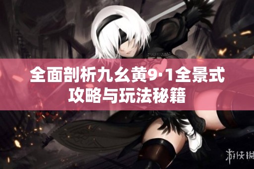 全面剖析九幺黄9·1全景式攻略与玩法秘籍