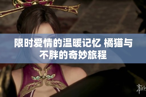 限时爱情的温暖记忆 橘猫与不胖的奇妙旅程