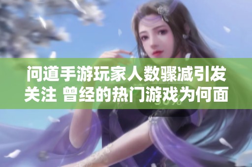 问道手游玩家人数骤减引发关注 曾经的热门游戏为何面临流失困境