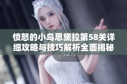 愤怒的小鸟思黛拉第58关详细攻略与技巧解析全面揭秘