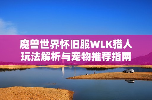 魔兽世界怀旧服WLK猎人玩法解析与宠物推荐指南